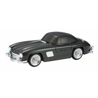 WSTER WS-300SL 10W Φορητό Ηχείο & FM - Music Car Speaker TWS FM Radio TF Card