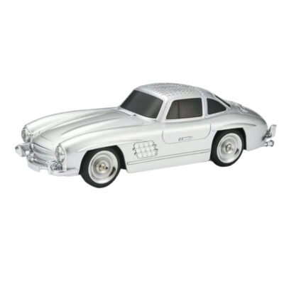 WSTER WS-300SL 10W Φορητό Ηχείο & FM - Music Car Speaker TWS FM Radio TF Card