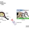 Ηλιακός προβολέας LED με αισθητήρα κίνησης - 8025B - 181304
