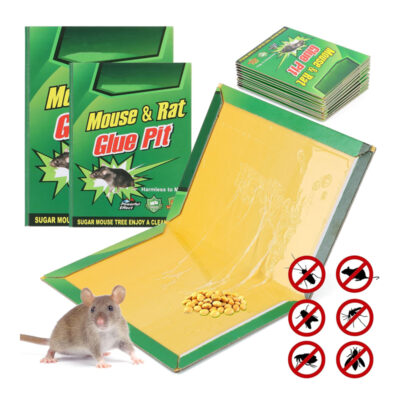 Green Filter Ποντικοπαγίδα - Mouse & Rat Bpit Traps