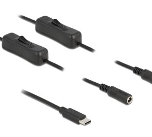 DELOCK καλώδιο USB Type-C σε 2x DC 5.5 x 2.1mm 86800, 1m, μαύρο