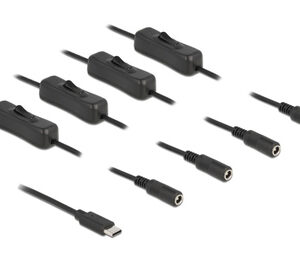 DELOCK καλώδιο USB Type-C σε 4x DC 5.5 x 2.1mm 86802, 1m, μαύρο
