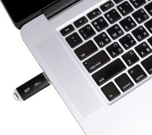 SILICON POWER USB Flash Drive Blaze B02, 256GB, USB 3.2, μαύρο