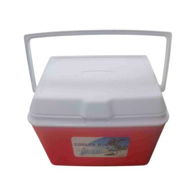 Ισοθερμικό ψυγείο παραλίας - 8L - 420105