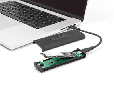 DELOCK θήκη για M.2 NVMe PCIe/SATA SSD 42031, 20Gbps, tool free, μαύρη