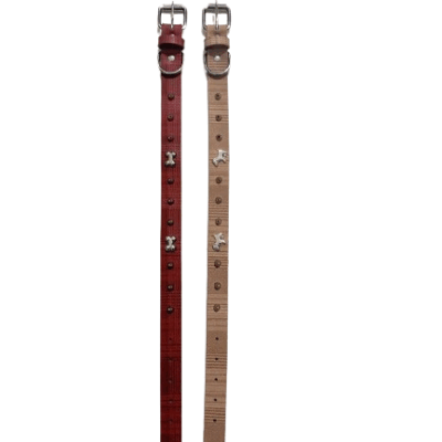 Περιλαίμιο - Κολάρο σκύλου - 2x46cm - 12pcs - 550172