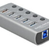 DELOCK USB hub 63262 με διακόπτες, 5x θυρών, 5Gbps, 2.4A, γκρι
