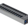 DELOCK USB hub 63738 με διακόπτες, 13x θυρών, 5Gbps, γκρι