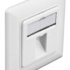 DELOCK Wall Outlet για Keystone 86981, 1 Port