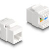 DELOCK keystone module RJ45 σε LSA Cat.6A 88131, toolfree, λευκό