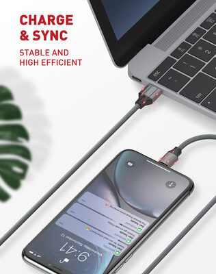LDNIO καλώδιο USB-C σε USB LS441, 2.4A, 1m, γκρι
