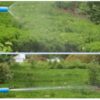 Ψεκαστήρας προπιέσεως 5 λίτρων - 5L - 615401