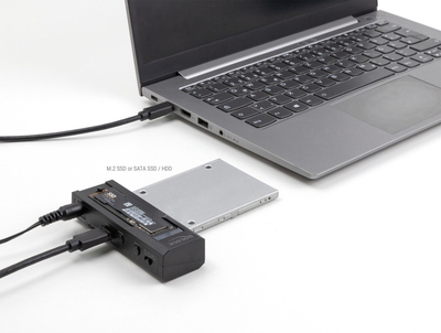 DELOCK docking station για M.2 NVMe/SATA ή 2.5"/3.5" SSD/HDD 64253, 10Gbps, μαύρο