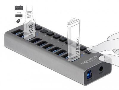 63670-1 DELOCK USB hub 63670 με διακόπτες, 10x θυρών, 5Gbps, γκρι