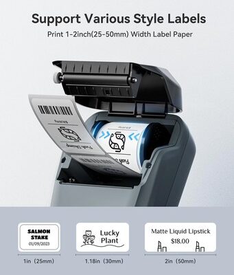 B1-BL-1 NIIMBOT smart θερμικός εκτυπωτής ετικετών B1, 203dpi, Bluetooth, μπλε