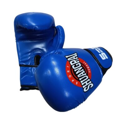 290267-2 Γάντια πυγμαχίας - 10oz - 290267 - Blue