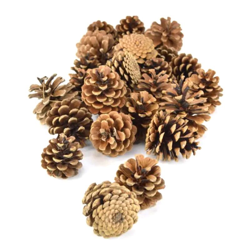 49053 Χριστουγεννιάτικα στολίδια κουκουνάρι 10 τεμάχια – Christmas deco pine