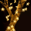 Ηλιακή γιρλάντα φωτισμού LED - Λουλούδι - 5m+1m - 20D - 152899 - Warm White